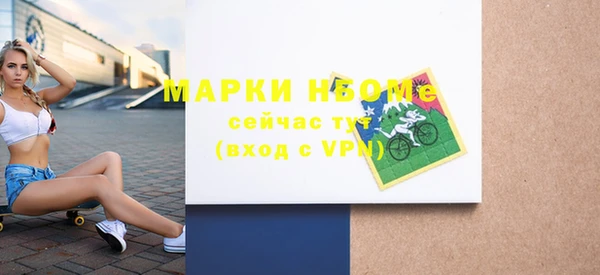 прущие грибы Надым