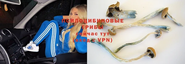 ПСИЛОЦИБИНОВЫЕ ГРИБЫ Наволоки