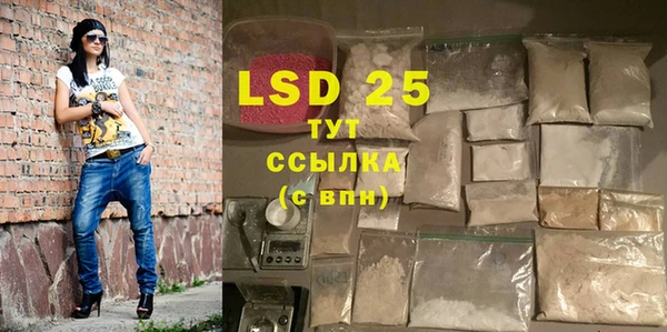 ПСИЛОЦИБИНОВЫЕ ГРИБЫ Наволоки