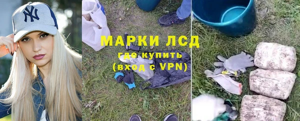 прущие грибы Надым
