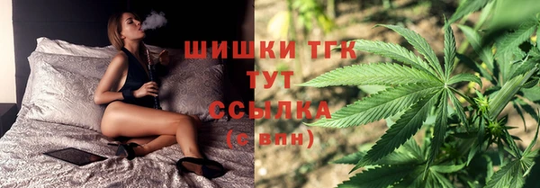 ПСИЛОЦИБИНОВЫЕ ГРИБЫ Наволоки