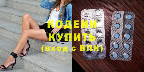 прущие грибы Надым