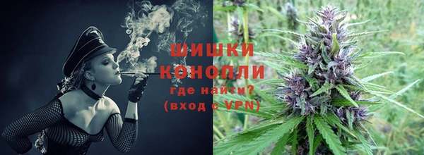 ПСИЛОЦИБИНОВЫЕ ГРИБЫ Наволоки