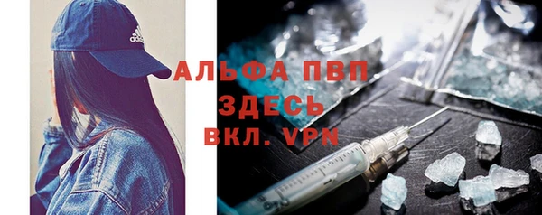 прущие грибы Надым