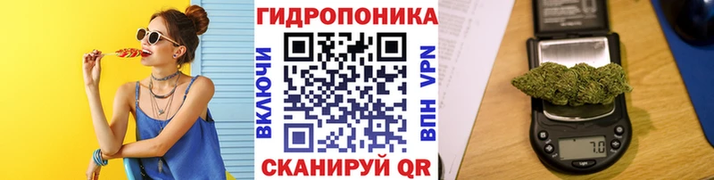 блэк спрут как зайти  Ува  Марихуана тримм 